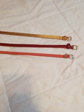 Fossil Belts. 3 Skinny Belts